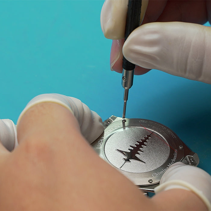 Sound Of Nature Big Date Rose Gold Hammer Chiming Limited Edition Automatic Watch