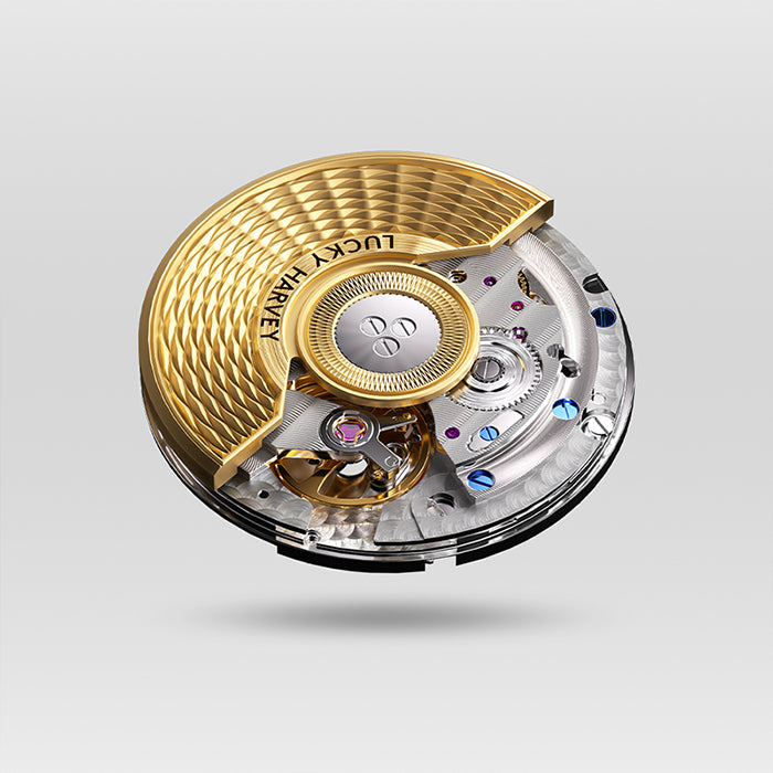 Sound Of Nature Muonionalusta Meteorite Dial Yellow Titanium Chiming Limited Edition Automatic Watch